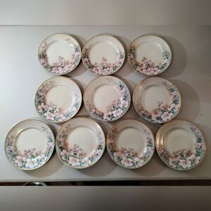 Set of 10 Hand Painted Wild Roses Artist Signed 6.5" Plates